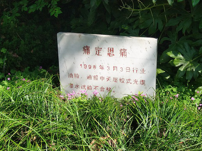 mgͻ(й)ٷվ