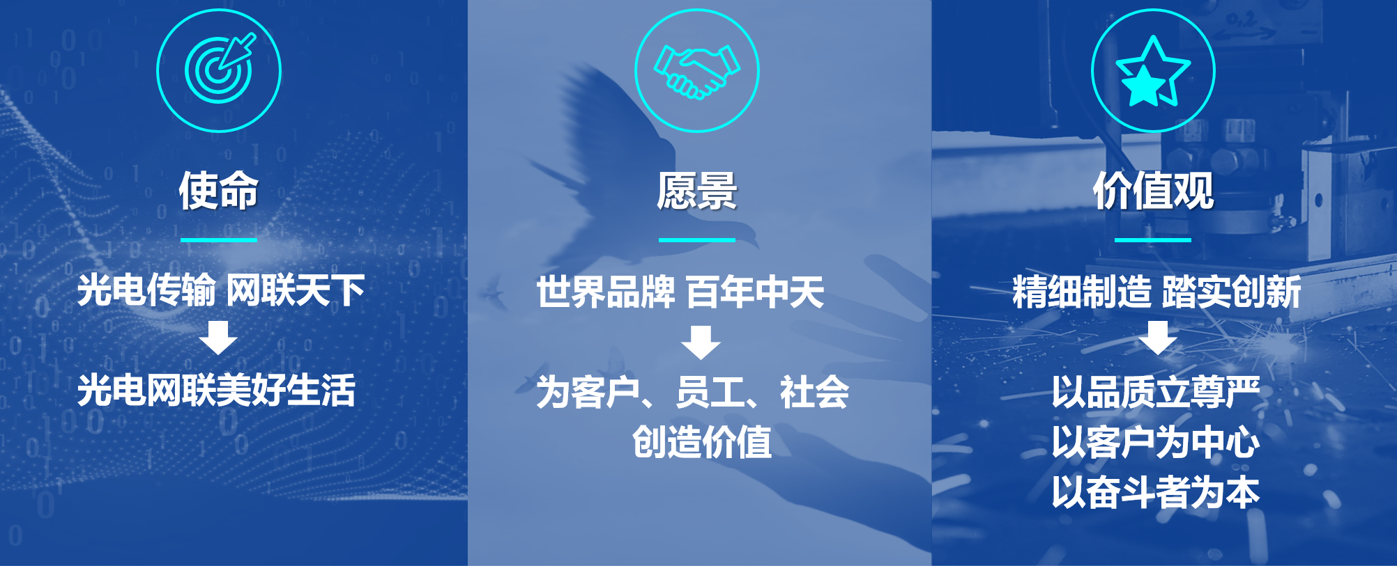 mgͻ(й)ٷվ