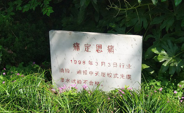 mgͻ(й)ٷվ