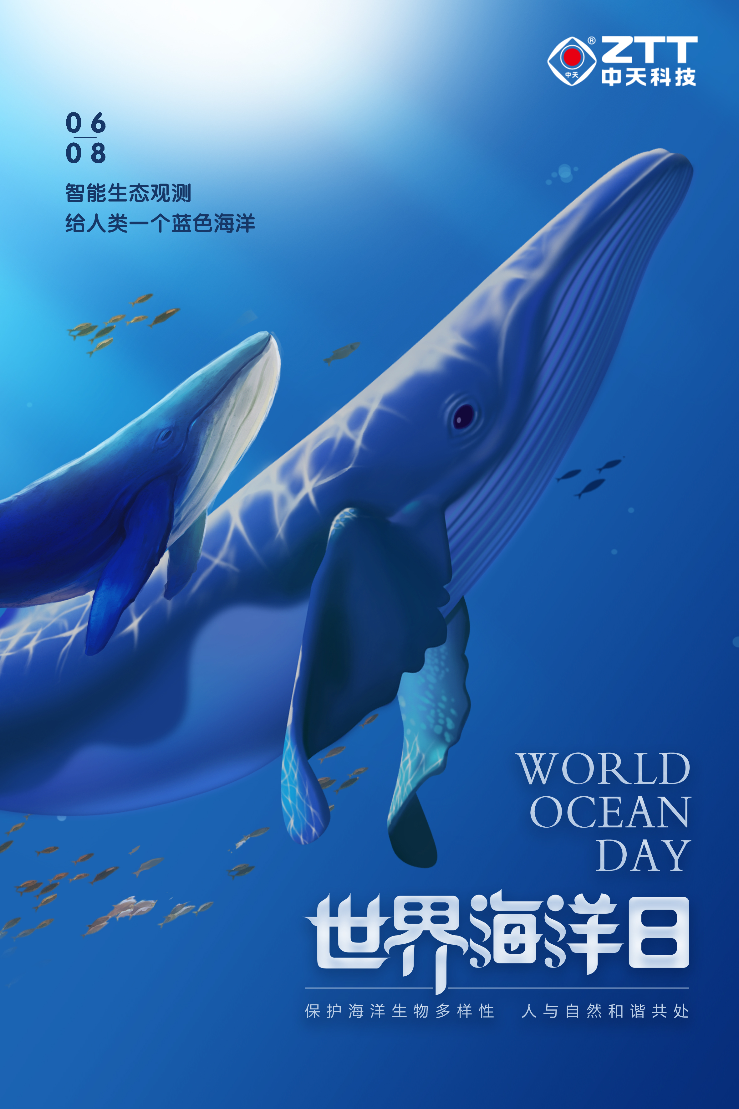 mgͻ(й)ٷվ
